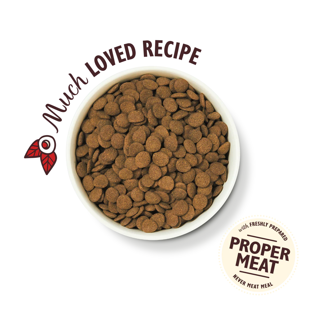 Beef Dry Food with Ancient Grains - Image 2
