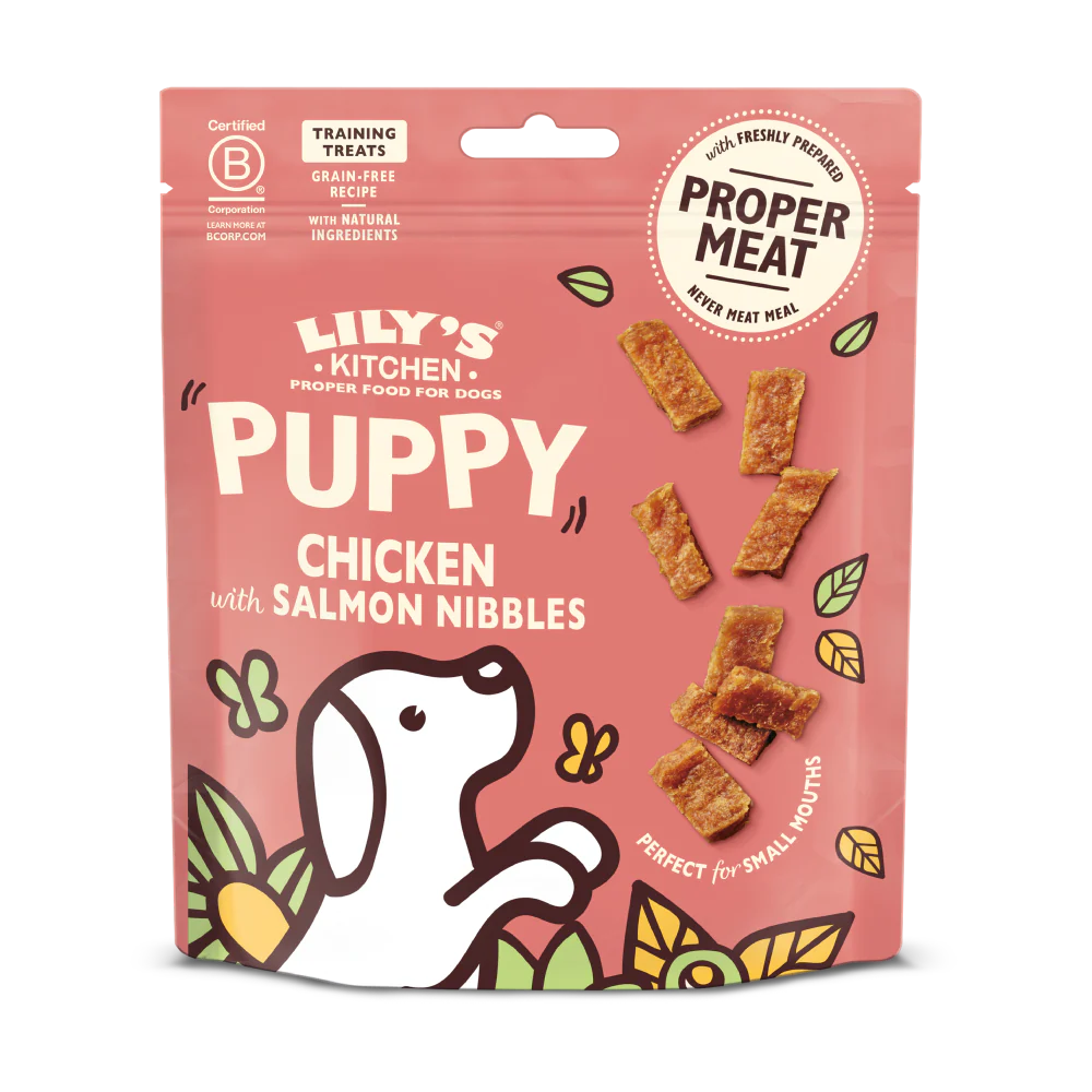 Chicken Nibbles with Salmon Puppy Treats (70g)