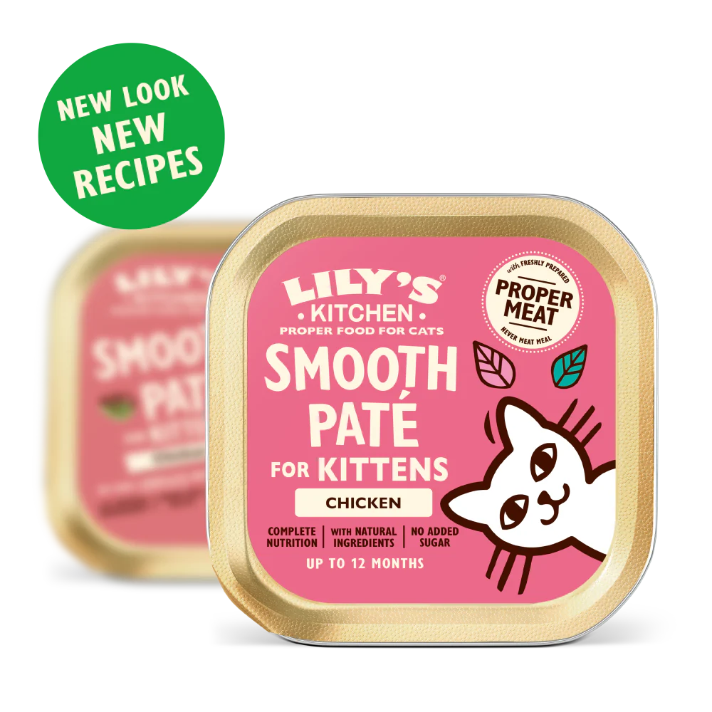 Chicken Paté for Kittens (19 x 85g) - Image 2