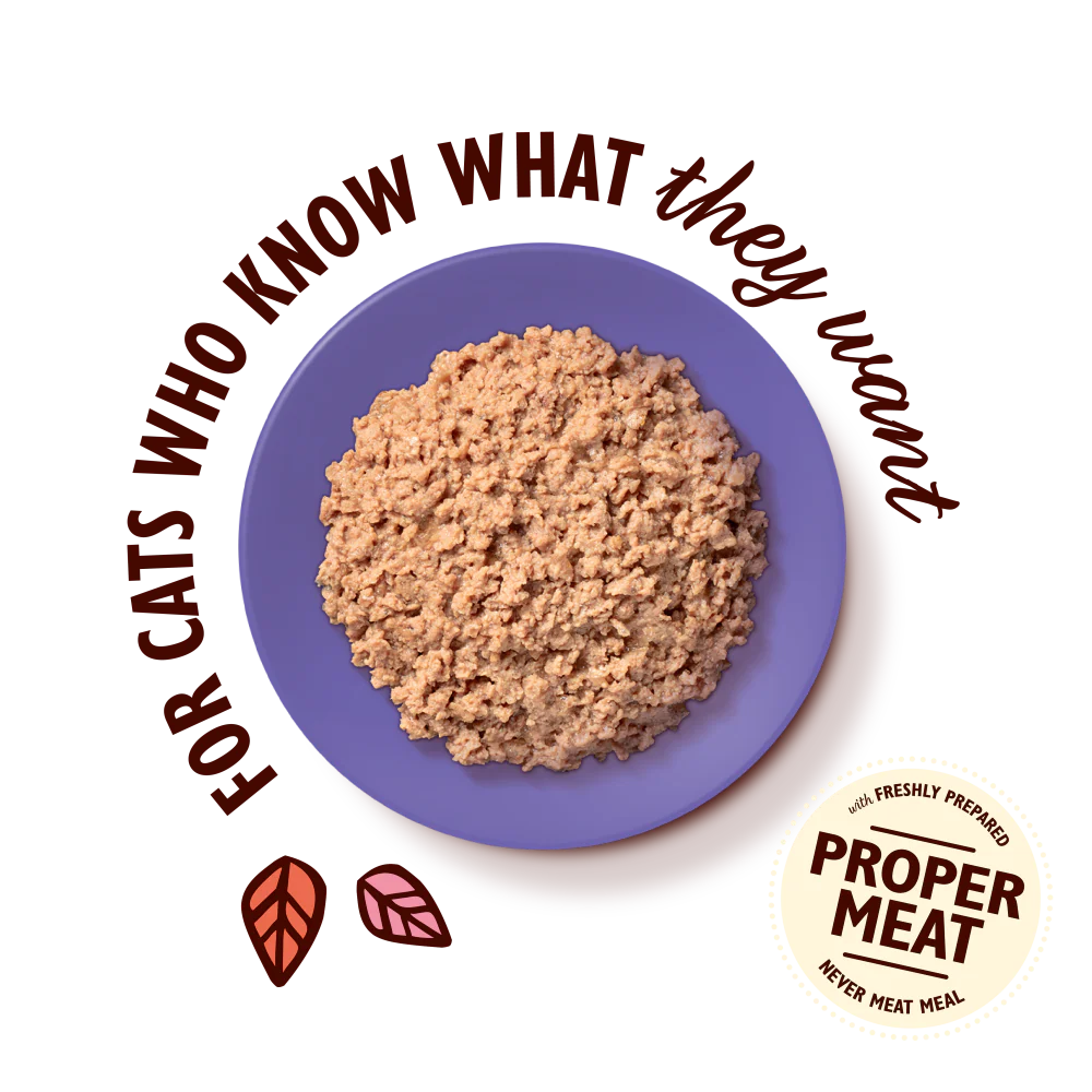 Chicken Paté for Mature Cats (19 x 85g) - Image 3