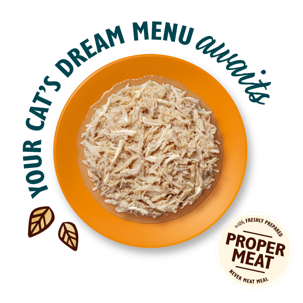 Shredded Fillets in Broth Multipack (8 x 70g) - Image 3