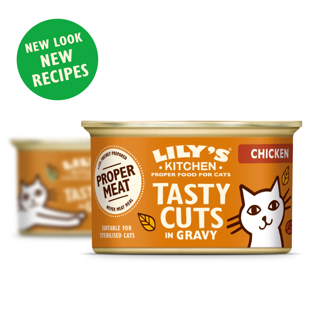Chicken Tasty Cuts in Gravy (85g) - Image 2
