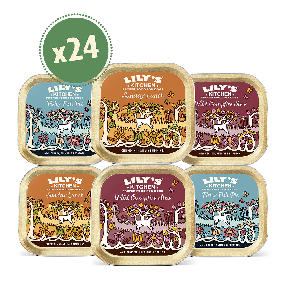 Grain Free Recipes Multipack (24 x 150g)