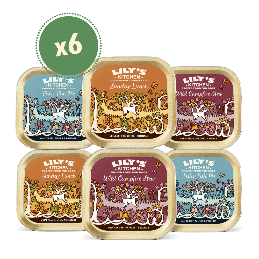 Grain Free Recipes Multipack (6 x 150g)