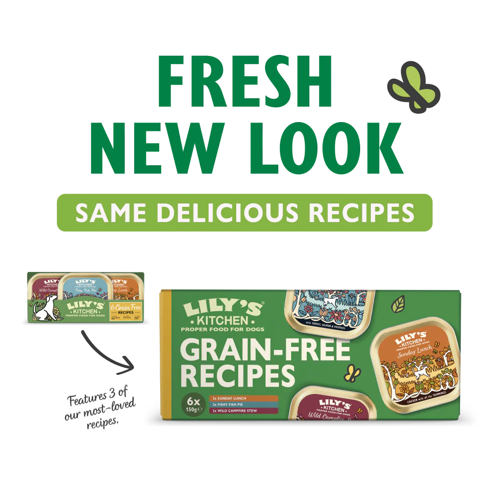 Grain Free Recipes Multipack (6 x 150g) - Image 2