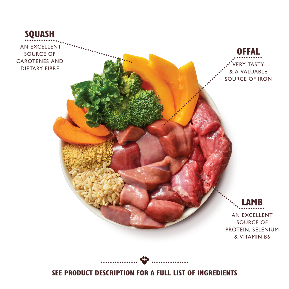 Lamb Tagine (6 x 400g) - Image 2