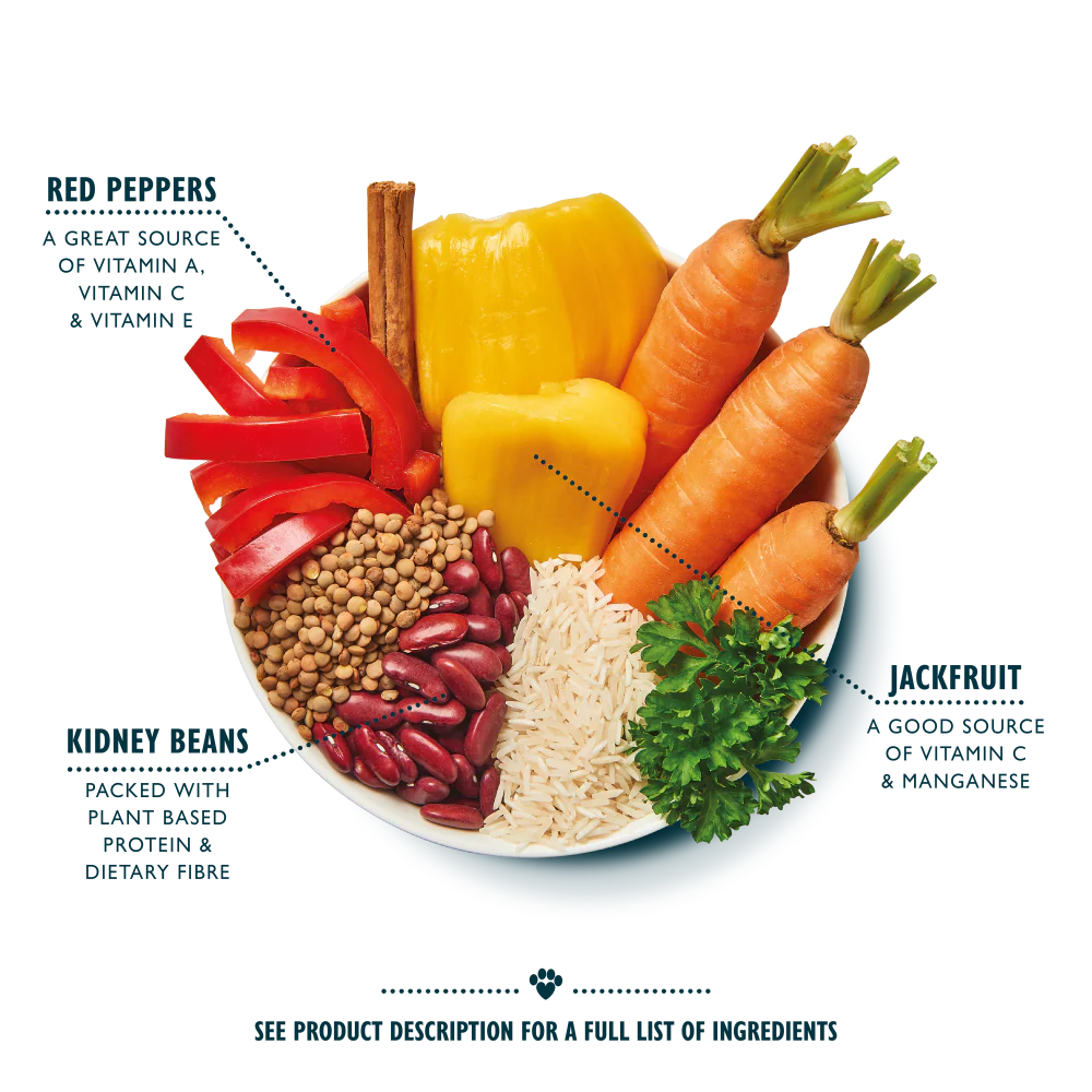 Mighty Burrito Bowl (Vegan Recipe 400g) - Image 2