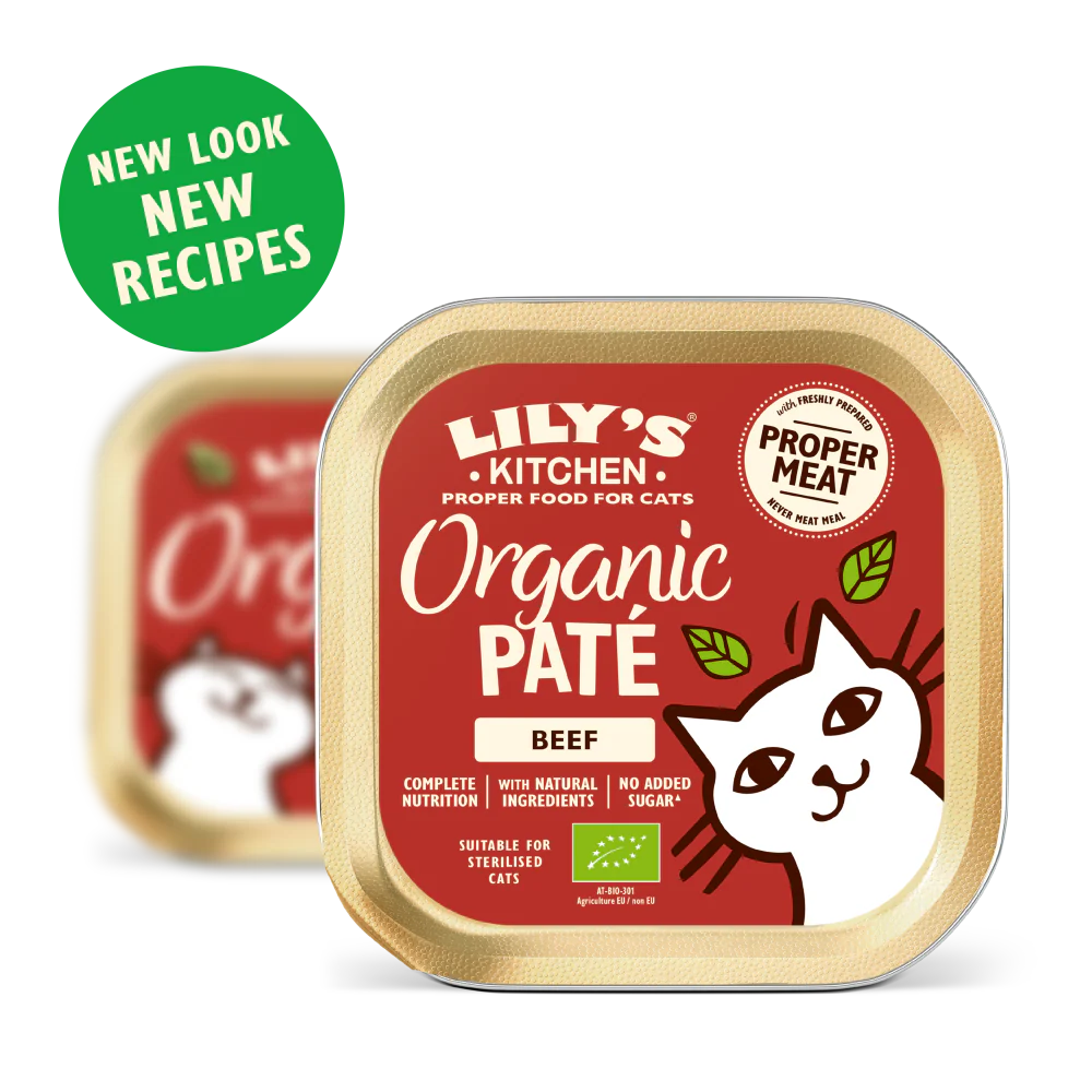 Organic Beef Paté (19 x 85g) - Image 2