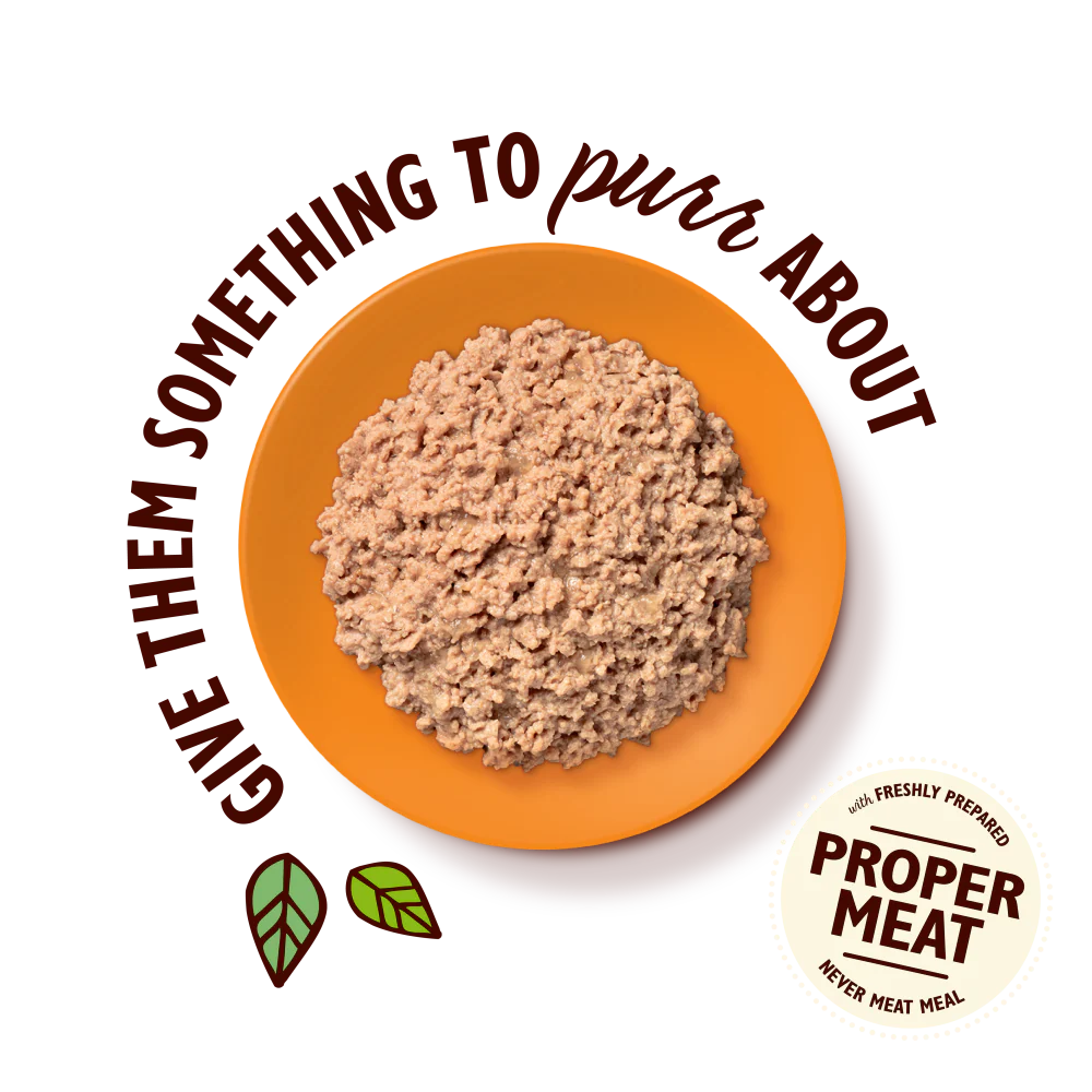 Organic Chicken Paté (85g) - Image 3