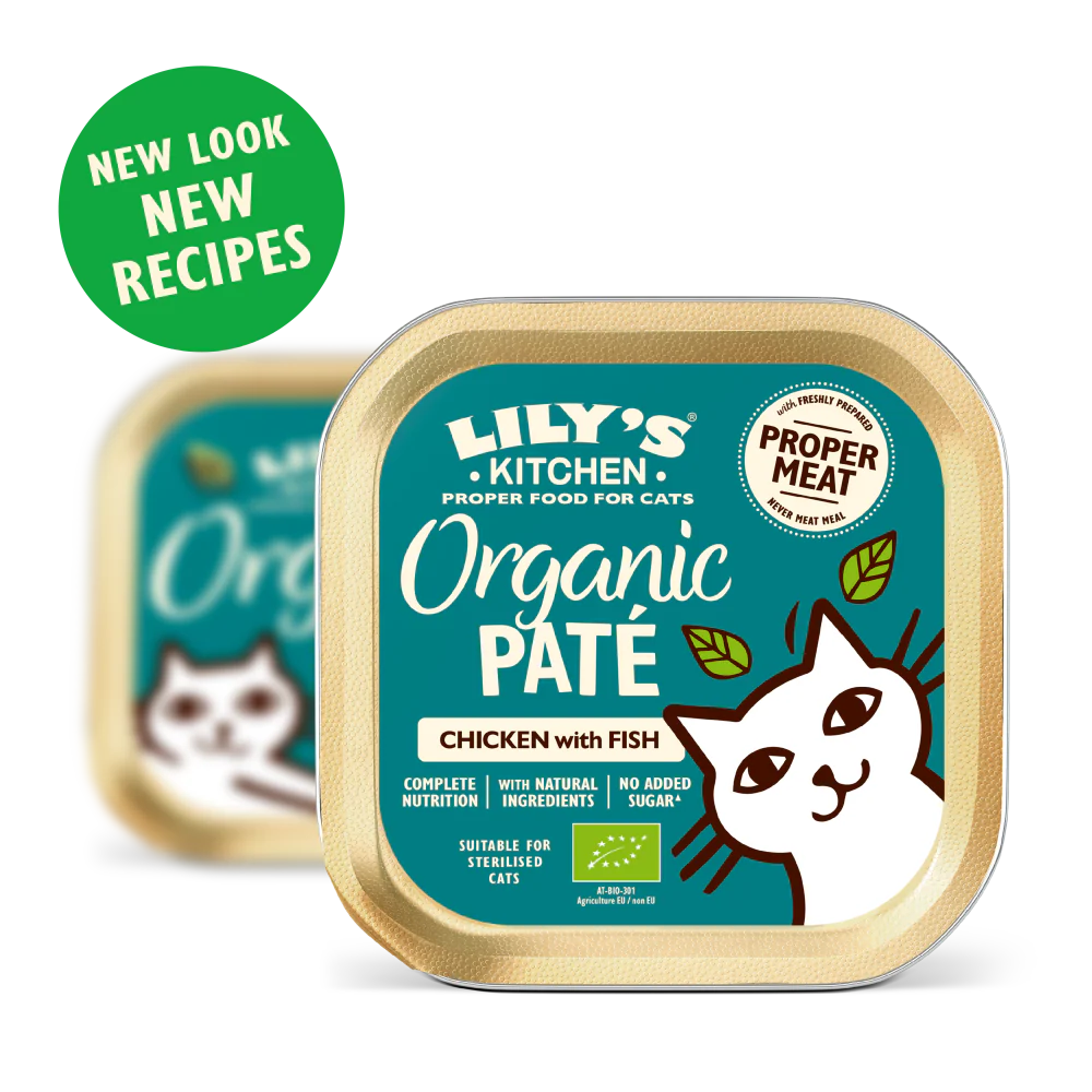 Organic Chicken with Fish Paté (85g) - Image 2