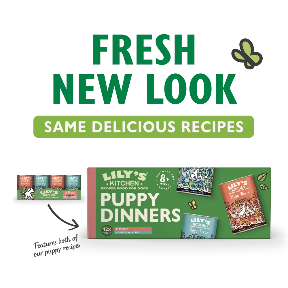 Puppy Recipes Multipack (12 x 400g) - Image 2