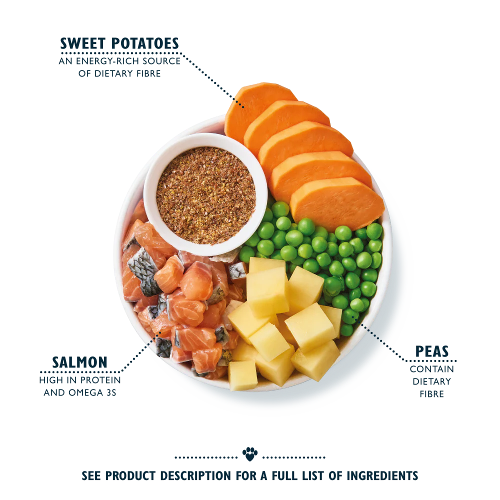 Salmon Dry Food (2 x 7kg) - Image 2
