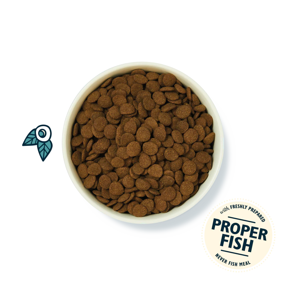 Salmon Dry Food (2 x 7kg) - Image 3