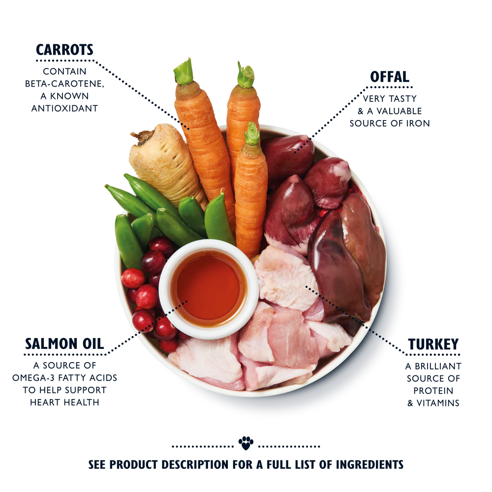 Senior Recipe for Older Dogs (400g) - Image 2