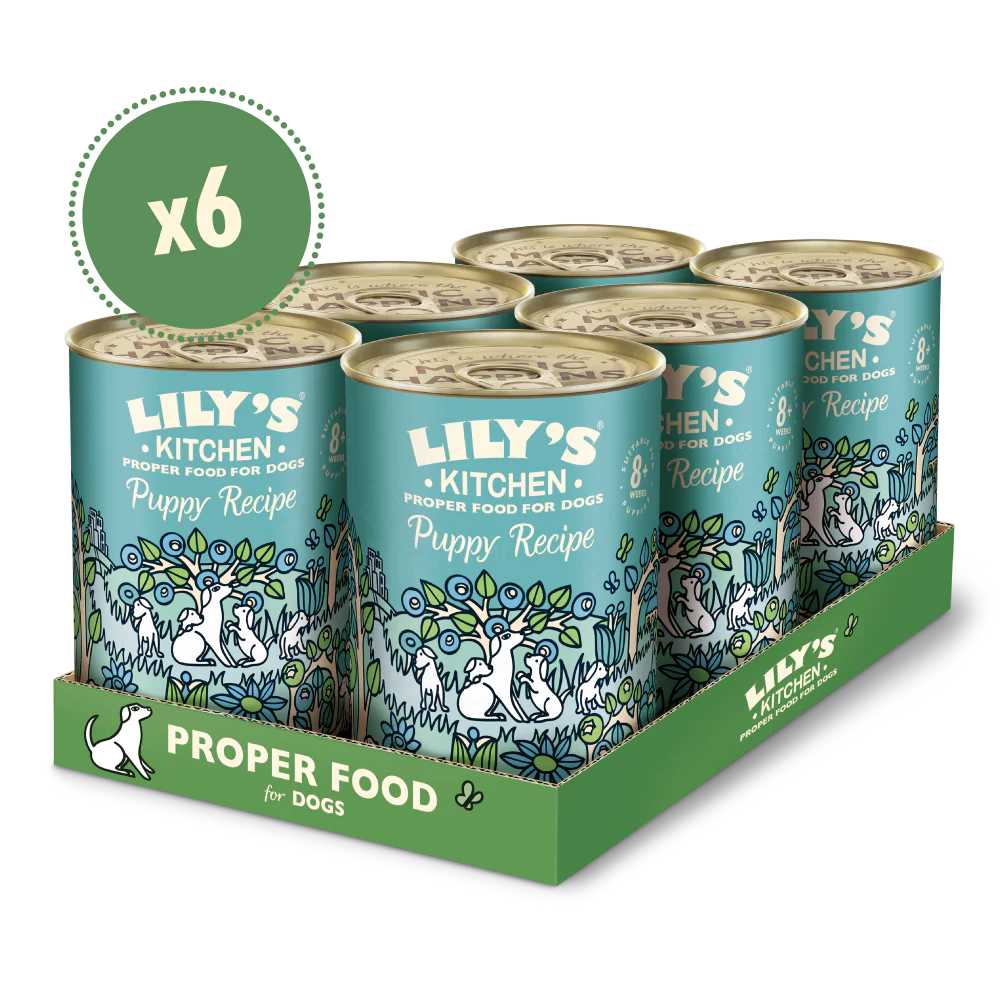 Turkey & Duck Puppy Recipe (6 x 400g)