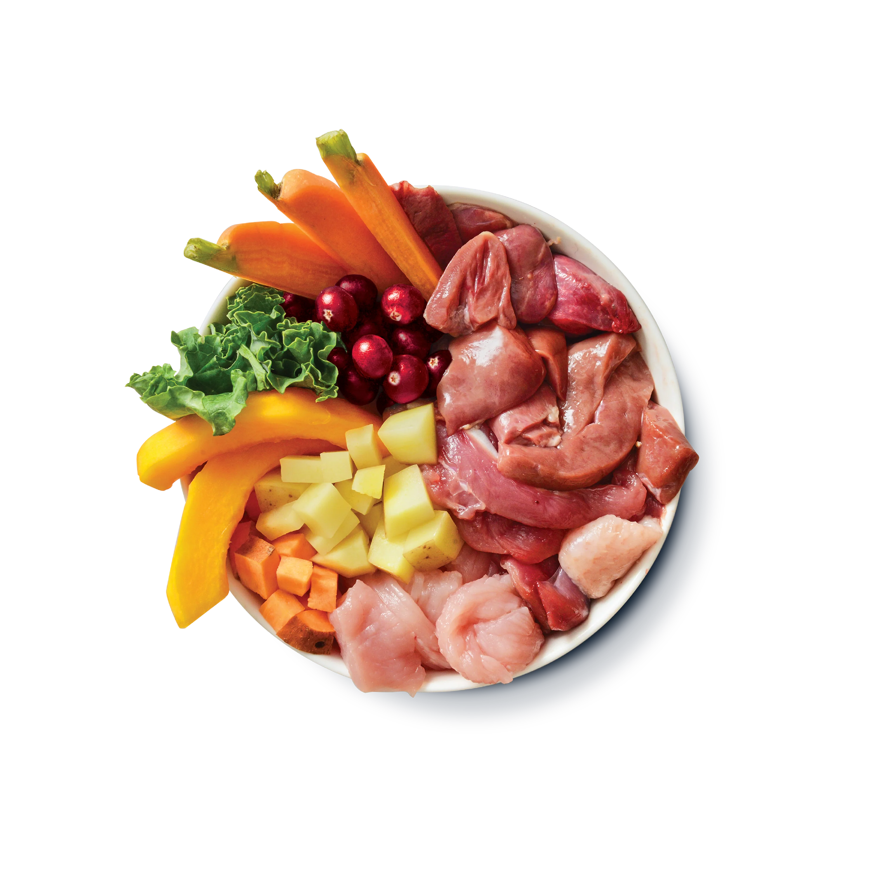 Turkey & Duck Puppy Recipe (6 x 400g) - Image 2