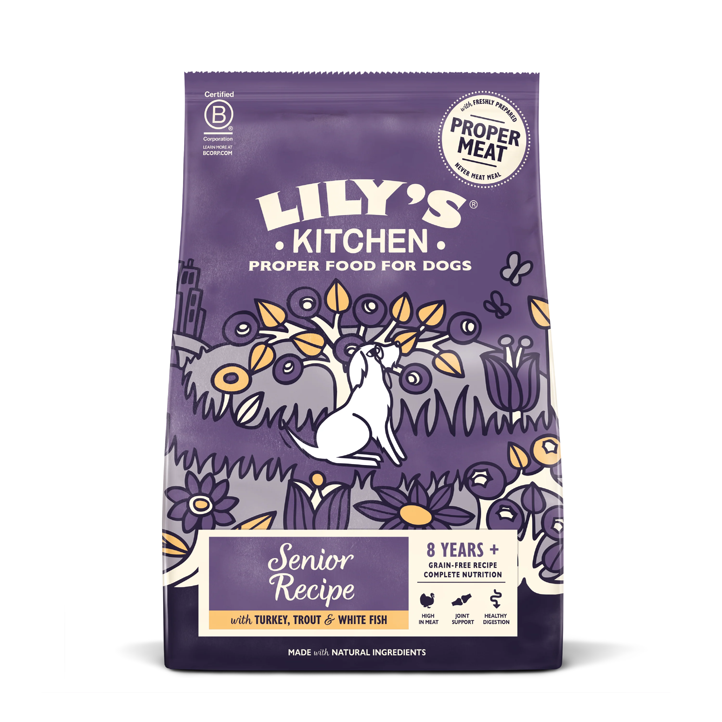 Turkey & Trout Dry Food for Senior Dogs