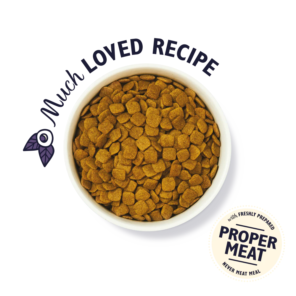 Turkey & Trout Dry Food for Senior Dogs - Image 3