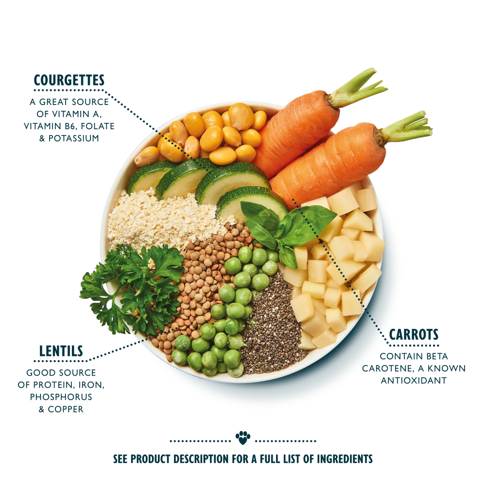 Vibrant Rainbow Stew Vegan Recipe (6 x 400g) - Image 2